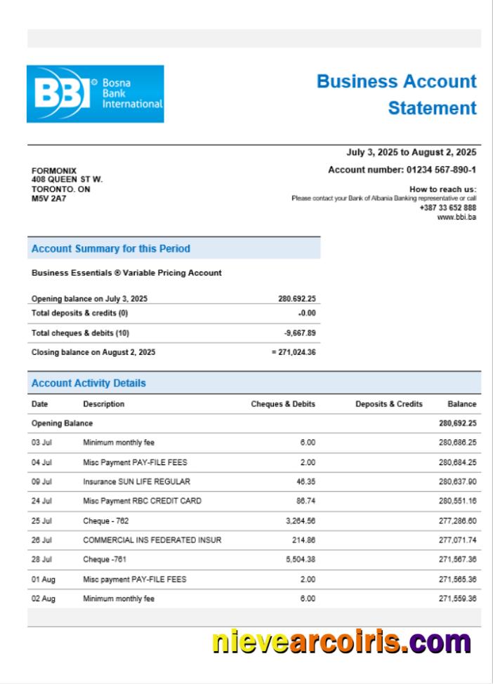 Bosna Bank firm account statement